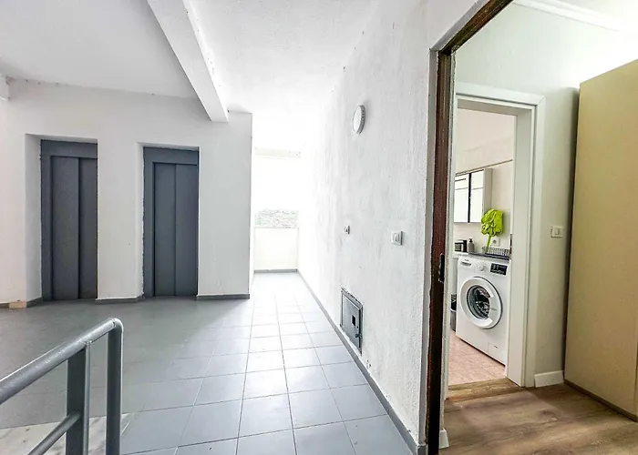 Fifteen Eighty-six דורס